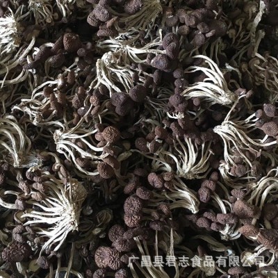 君志 新货江西广昌茶树菇干货批发不开伞5号菇黑帽菇散装食用菌图5