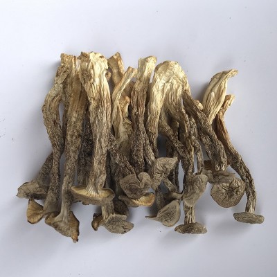 君志 切根鹿茸菇干货批发500g鹿茸菌煲汤食材 2023新货图4