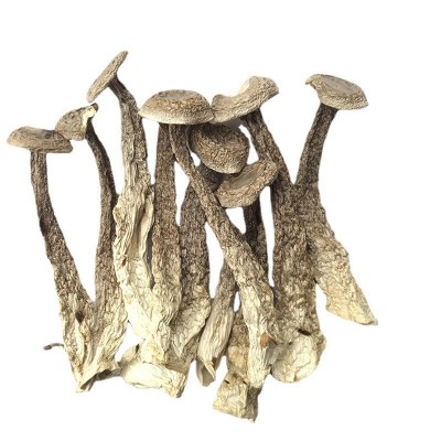 君志 切根鹿茸菇干货批发500g鹿茸菌煲汤食材 2023新货图5