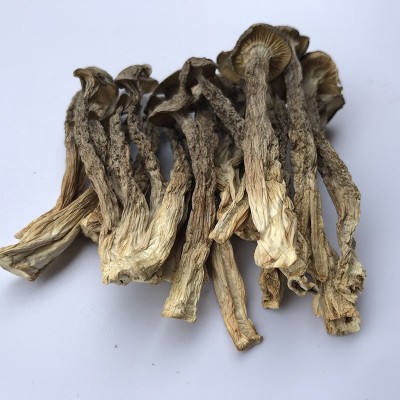 君志 切根鹿茸菇干货批发500g鹿茸菌煲汤食材 2023新货图3