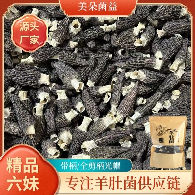 四川金堂六妹带柄羊肚菌新货干菌菇干货散货批发代发干羊肚菌批發 四川金堂六妹带柄羊肚菌新货干菌菇干货散货批发代发干羊肚菌批發