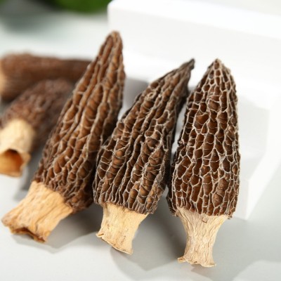 四川金堂羊肚菌礼盒装180g个大肉厚山珍菌菇干货礼盒长辈礼品实惠 四川金堂羊肚菌礼盒装180g个大肉厚山珍菌菇干货礼盒长辈礼品实惠