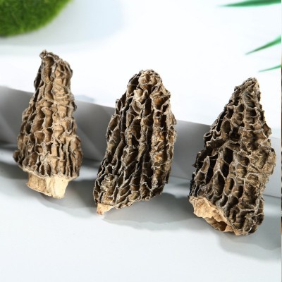 金堂羊肚菌批发整箱干货丑菇营养食材批发短柄羊肚菇煲汤干菌菇发图4