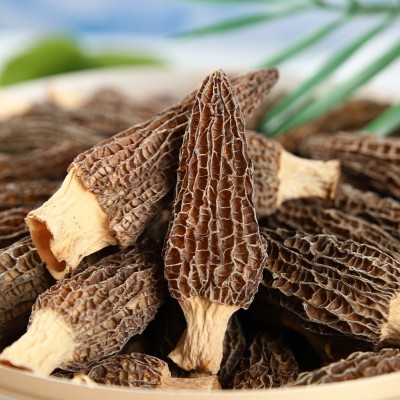 罐装羊肚菌礼盒送长辈礼品四川金堂羊肚菌批发羊肚菌干货一件代发图4