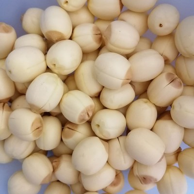 江西特产老莲子500g手工去皮去芯白莲子大个莲子去皮干货即食图2