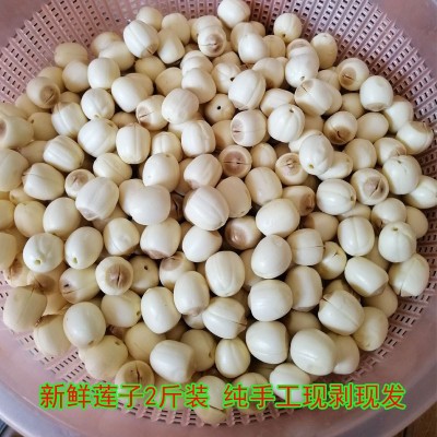 江西特产老莲子500g手工去皮去芯白莲子大个莲子去皮干货即食图3