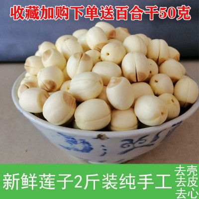 江西特产老莲子500g手工去皮去芯白莲子大个莲子去皮干货即食图4