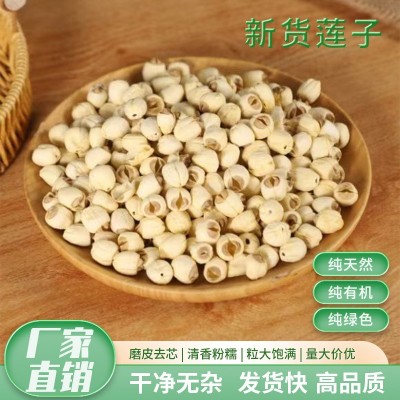 广昌白莲颗颗饱满手工去芯莲子干净无杂质滋补佳品手工去芯莲子图3