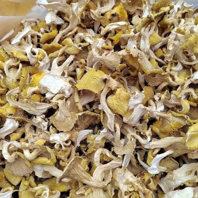 云南特产鸡油菌干蘑菇鸡油黄干货食用菌榆黄菇图3