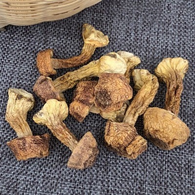 产家直销云南特产姬松茸干货巴西菇县香姬松茸批发云南图3