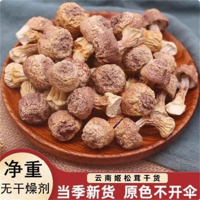 产家直销云南特产姬松茸干货巴西菇县香姬松茸批发云南 产家直销云南特产姬松茸干货巴西菇县香姬松茸批发云南