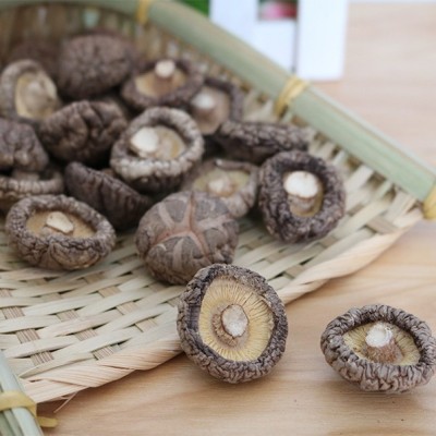 性价比高天然干货 湖北特产 勃朗特菇多规格 家用农产品香菇图3