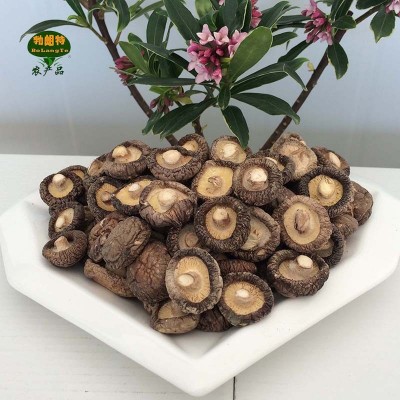 性价比高天然干货 湖北特产 勃朗特菇多规格 家用农产品香菇 性价比高天然干货 湖北特产 勃朗特菇多规格 家用农产品香菇