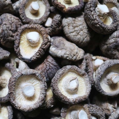 性价比高天然干货 湖北特产 勃朗特菇多规格 家用农产品香菇图4