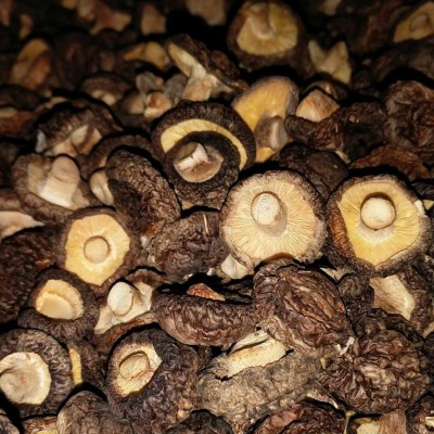 供应黑面菇干货香菇 脱水菇 短脚冬菇黄焖鸡食材 产地批发500克图2