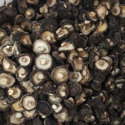 供应黑面菇干货香菇 脱水菇 短脚冬菇黄焖鸡食材 产地批发500克图4