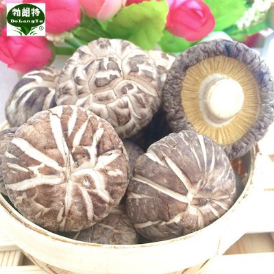 茶花花菇 柄短香菇干冬菇批发产地直发花菇干货批发 佛跳墙配料图4