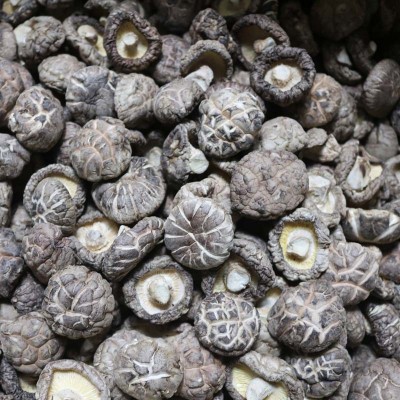 茶花花菇 柄短香菇干冬菇批发产地直发花菇干货批发 佛跳墙配料图3