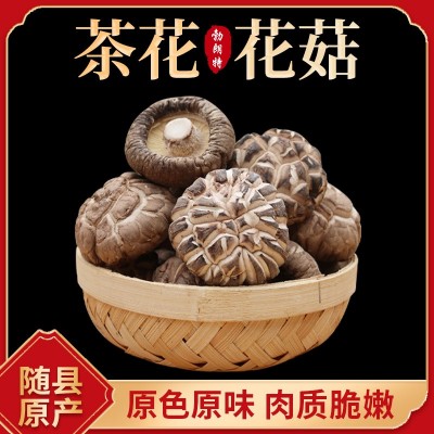 茶花花菇 柄短香菇干冬菇批发产地直发花菇干货批发 佛跳墙配料 茶花花菇 柄短香菇干冬菇批发产地直发花菇干货批发 佛跳墙配料