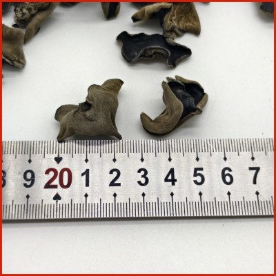 木耳批發黑木耳正宗东北秋木耳散装肉厚无根东北特产山珍南北干货图3