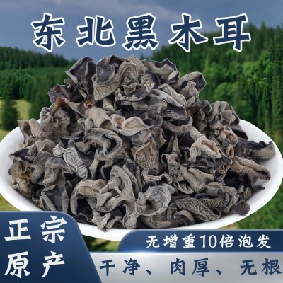 东北黑木耳小碗耳食用菌椴木耳秋木耳商用黑木耳批发干货 东北黑木耳小碗耳食用菌椴木耳秋木耳商用黑木耳批发干货