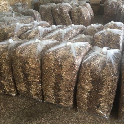 活动优惠素菜茶薪菇 新货不开伞茶树菇批发 无熏厂家批发图5