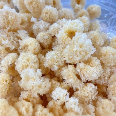 厂家直供古田仿椴木珍珠小银耳散装批发银耳干货白木耳雪耳丑糯耳图4