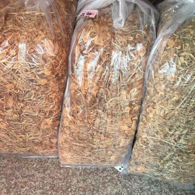 福建特产批发 开伞茶树菇 3号菇古田特产开伞茶树菇走量批发优惠图5