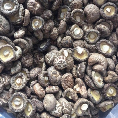 福建古田干货散装 食用菌干花菇特产农产品厂家批发花菇250g图5