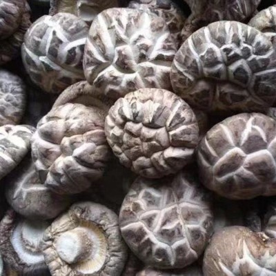 福建古田干货散装 食用菌干花菇特产农产品厂家批发花菇250g图3