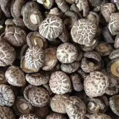 福建古田干货散装 食用菌干花菇特产农产品厂家批发花菇250g图4