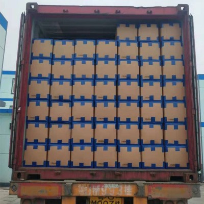 低菌 脱水洋葱粒图5