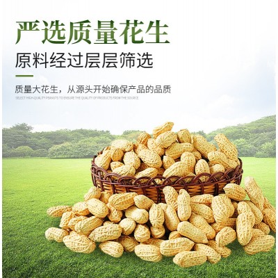 一件代发小榨花生油5L一级压榨健康家用炒菜食用油 5L金桥花生油图2