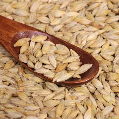 批发带壳大麦 宠物饲料大麦 鸽子 鸟粮大麦 50KG袋装大麦图4