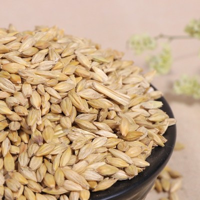 批发带壳大麦 宠物饲料大麦 鸽子 鸟粮大麦 50KG袋装大麦图2