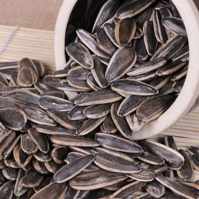 生葵花子 批发鸽子生瓜子 散装生瓜子 宠物鸟瓜子 原料葵花籽图2