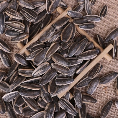 生葵花子 批发鸽子生瓜子 散装生瓜子 宠物鸟瓜子 原料葵花籽图3