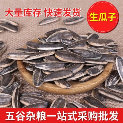 生葵花子 批发鸽子生瓜子 散装生瓜子 宠物鸟瓜子 原料葵花籽 生葵花子 批发鸽子生瓜子 散装生瓜子 宠物鸟瓜子 原料葵花籽