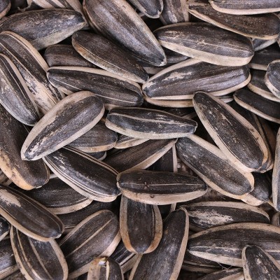 生葵花子 批发鸽子生瓜子 散装生瓜子 宠物鸟瓜子 原料葵花籽图5