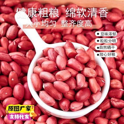 新货农家四粒红皮花生米生花生米无壳小粒红衣花生仁去壳花生50斤图2
