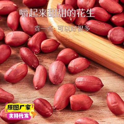 新货农家四粒红皮花生米生花生米无壳小粒红衣花生仁去壳花生50斤图5