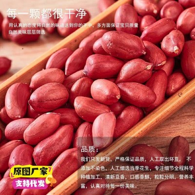 新货农家四粒红皮花生米生花生米无壳小粒红衣花生仁去壳花生50斤图3