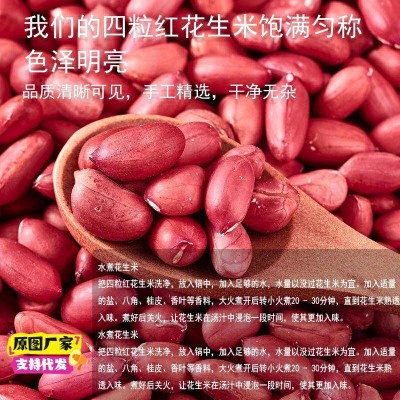 新货农家四粒红皮花生米生花生米无壳小粒红衣花生仁去壳花生50斤图4