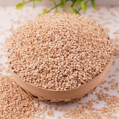 白芝麻仁50斤 黑芝麻生芝麻新鲜芝麻 白芝麻调料家用厨房批发图4