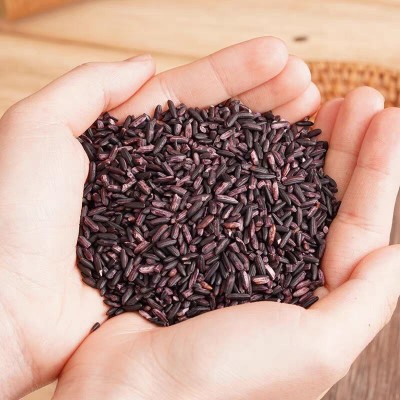 新米紫米云南墨江紫糯米黑糯粽子米饭团材料50斤五谷杂粮米血糯米图5