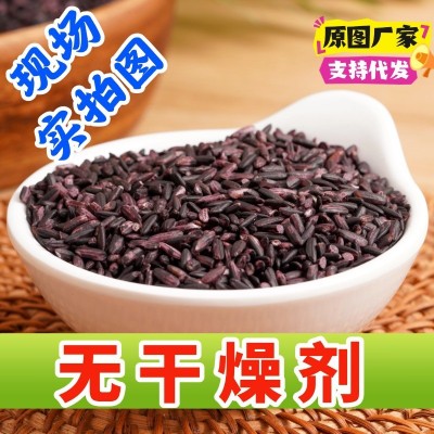新米紫米云南墨江紫糯米黑糯粽子米饭团材料50斤五谷杂粮米血糯米图4