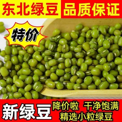 新绿豆50斤1包农家自种小明绿豆汤绿豆沙发豆芽新鲜绿豆批发图5