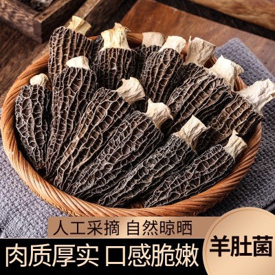 批发剪柄羊肚菌干货 规格齐全500克250克 煲汤食材云南菌特产酒店 批发剪柄羊肚菌干货 规格齐全500克250克 煲汤食材云南菌特产酒店