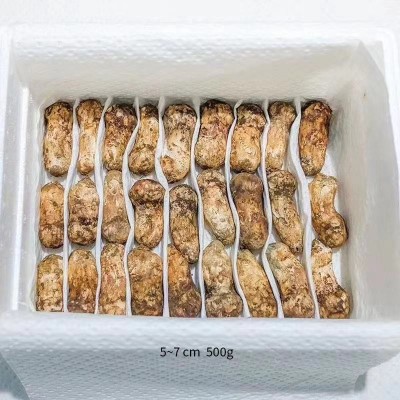 2025新鲜松茸云南香格里拉菌菇食用菌产地直发煲汤松茸干批发图2