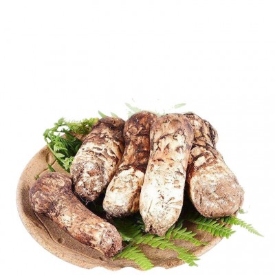 2025新鲜松茸云南香格里拉菌菇食用菌产地直发煲汤松茸干批发图4